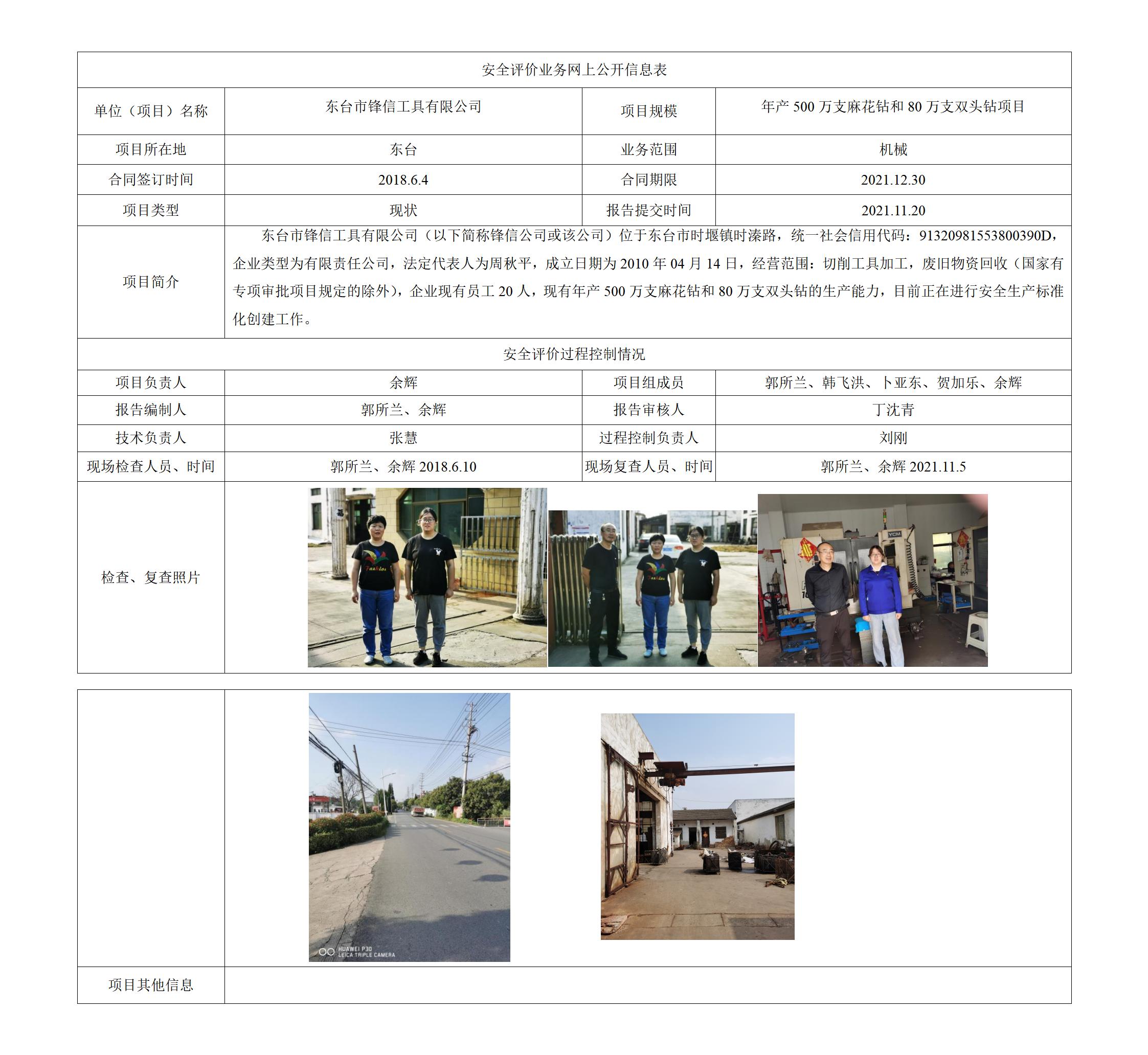 东台市锋信工具有限公司 年产500万支麻花钻和80万支双头钻项目 安全现状评价报告