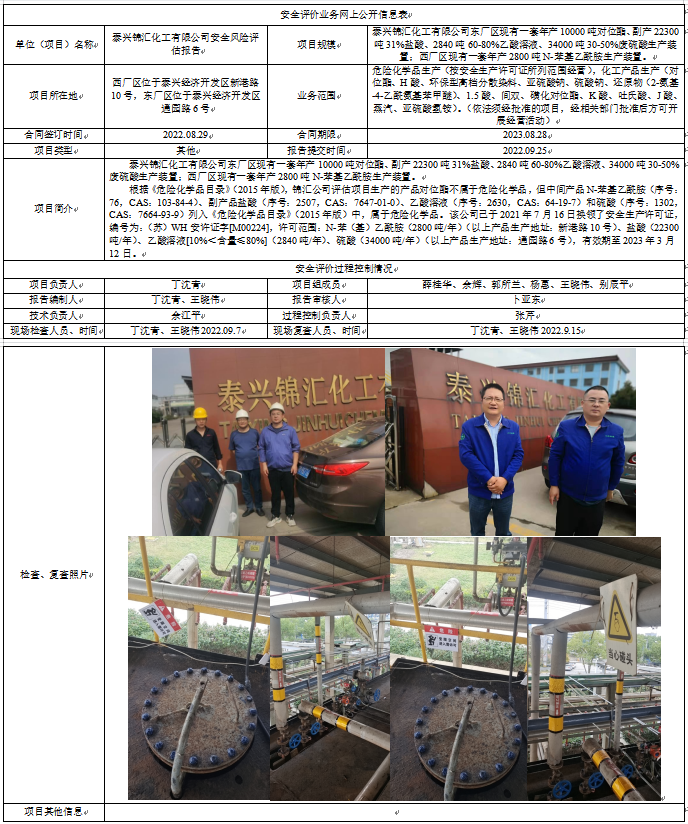 泰兴锦汇化工有限公司安全风险评估报告