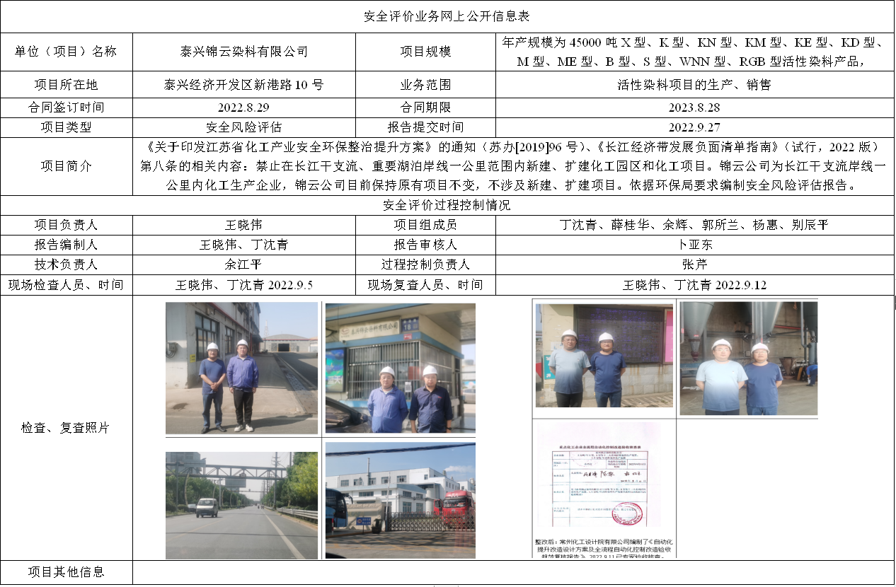 泰兴锦云染料有限公司安全风险评估