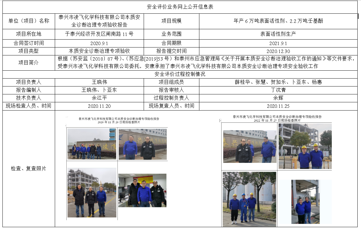 泰兴市凌飞化学科技有限公司本质安全诊断治理专项验收报告