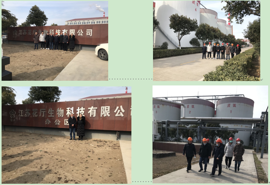 江苏花厅生物科技有限公司环境污染防治设施专项安全评估