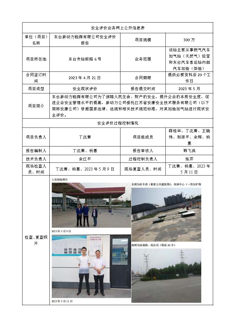 东台新动力能源有限公司安全评价报告