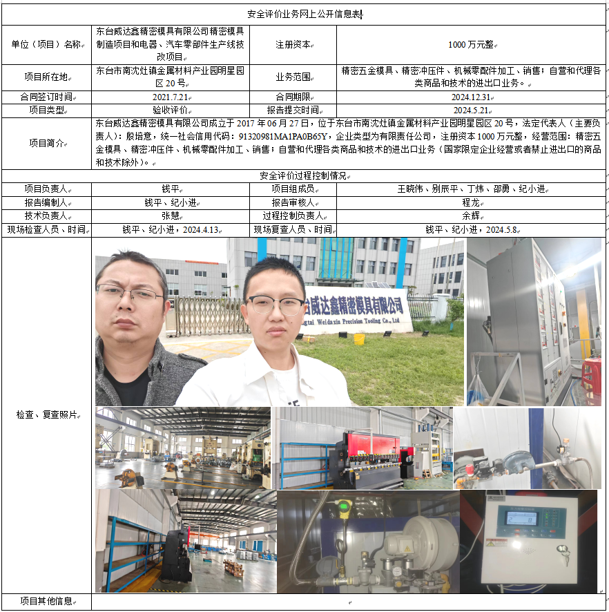 东台威达鑫精密模具有限公司精密模具制造项目和电器、汽车零部件生产线技改项目