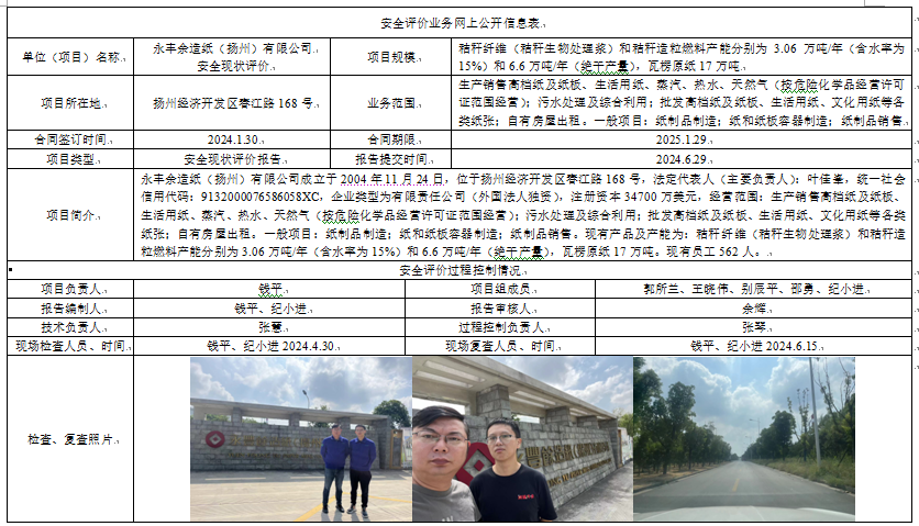 永丰余造纸（扬州）有限公司 安全现状评价