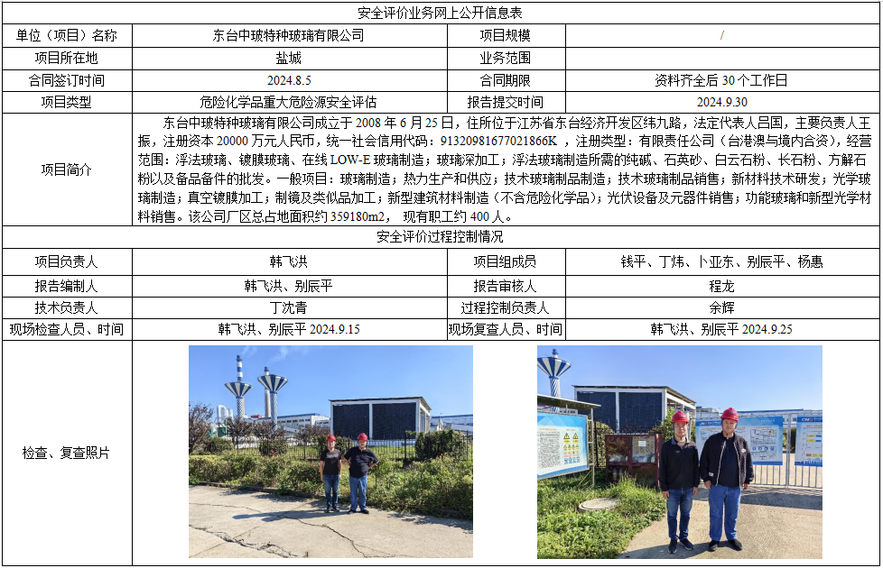 东台中玻特种玻璃有限公司危险化学品重大危险源安全评估