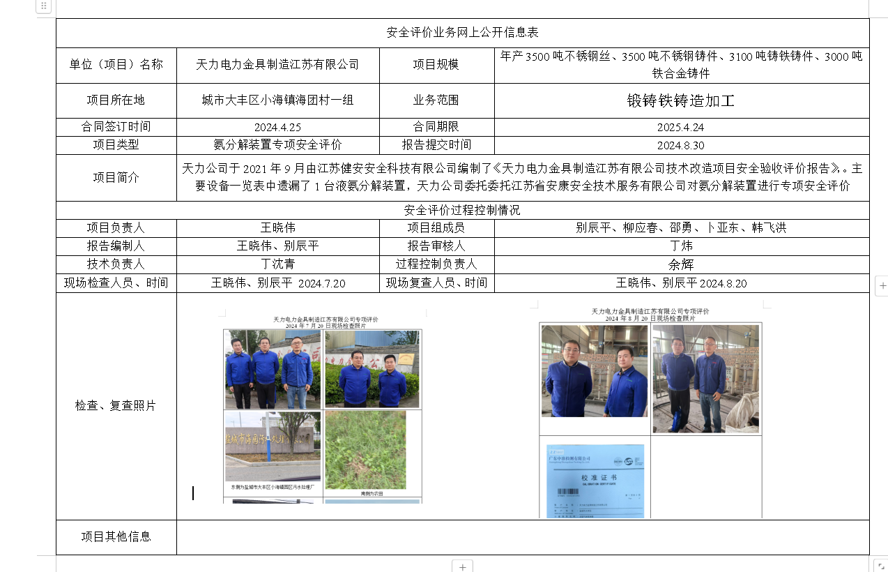 天力电力金具制造江苏有限公司氨分解装置专项安全评价