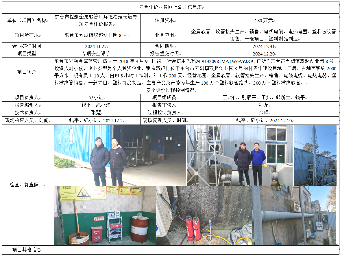 东台市程颢金属软管厂环境治理设施专项安全评价报告