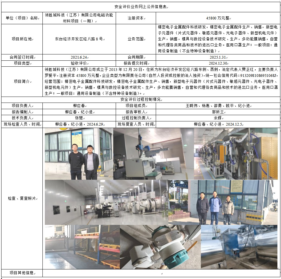 领胜城科技（江苏）有限公司电磁功能材料项目（一期）